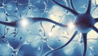 Ti restituisco 2neuroni  che ti servono per sganciare