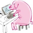 Tu sei il mio PAYPIGGONE e non avrai altro da PAGARE al di fuori di ME